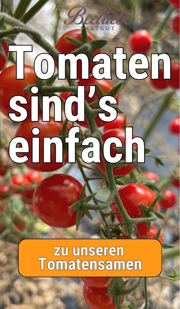 BIO Tomatensamen kaufen - samenfestes Saatgut von Beetliebe