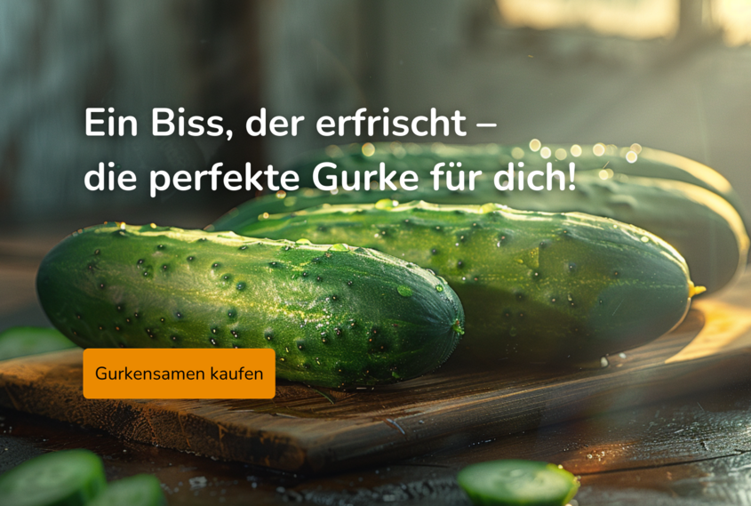 Titelbild beetliebe.de